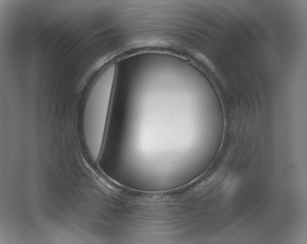 X0000068260922200604210910