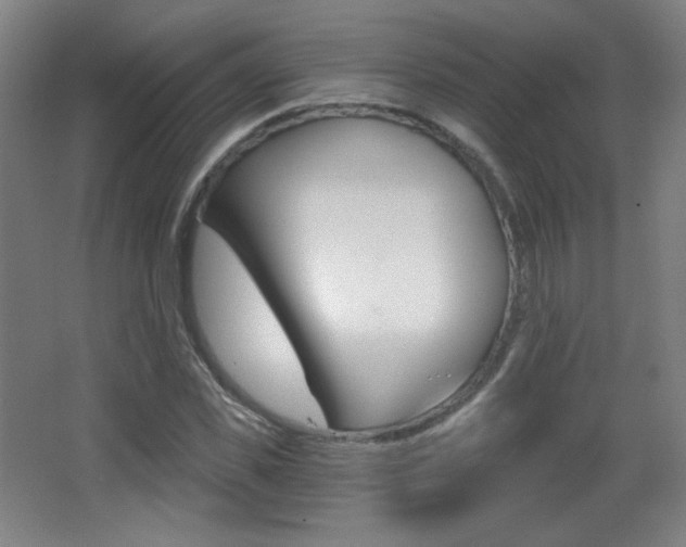 X0000068260925200604210910