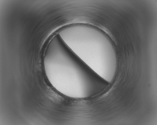 X0000068260926200604210910