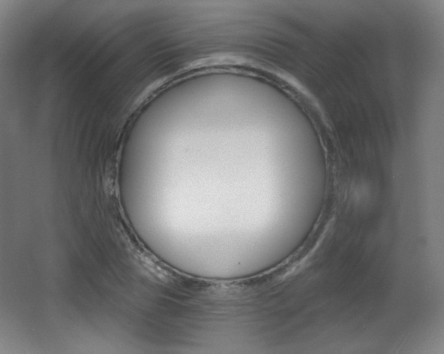 X0000068260929200604210910