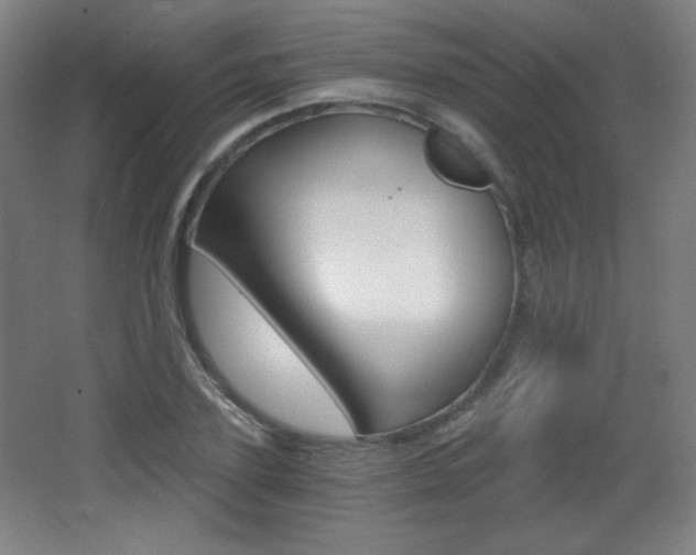 X0000068260931200604210910
