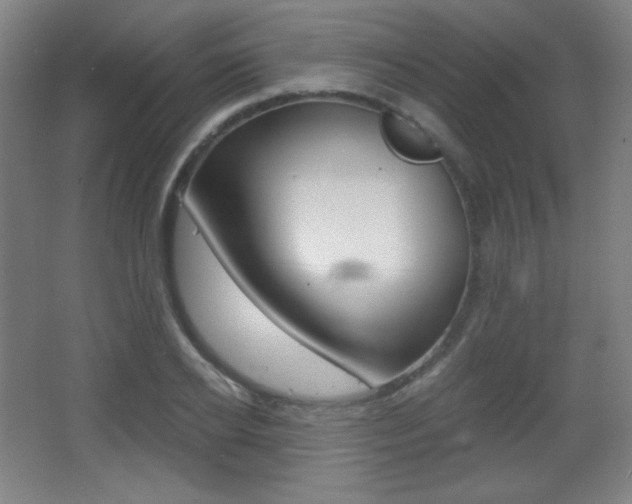 X0000068260934200604210910