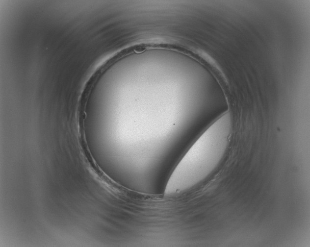 X0000068260935200604210910