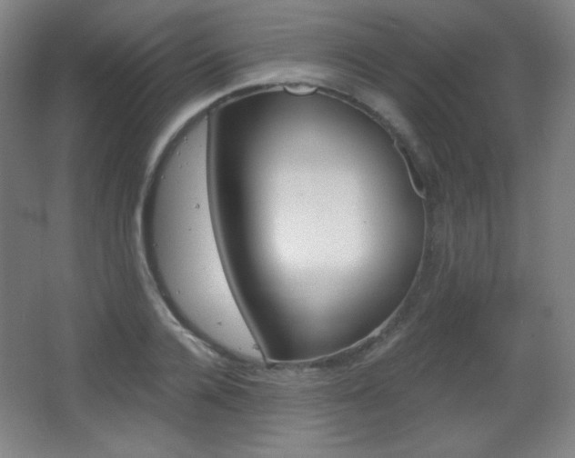 X0000068260936200604210910
