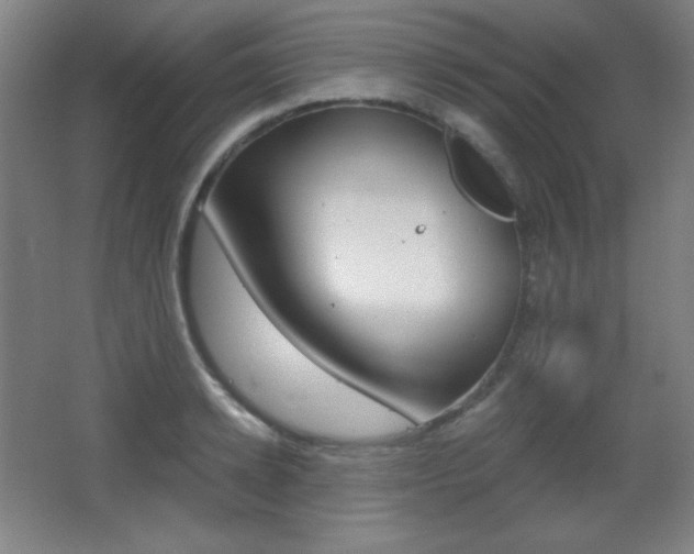 X0000068260942200604210911