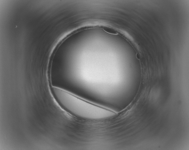 X0000068260943200604210911