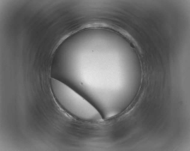 X0000068260945200604210911