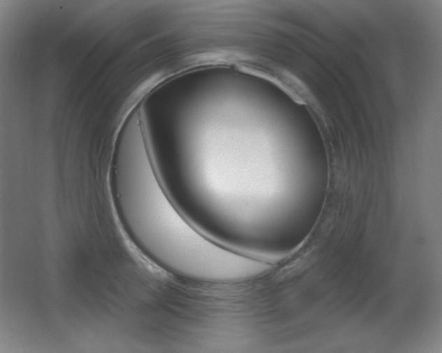 X0000068260946200604210911
