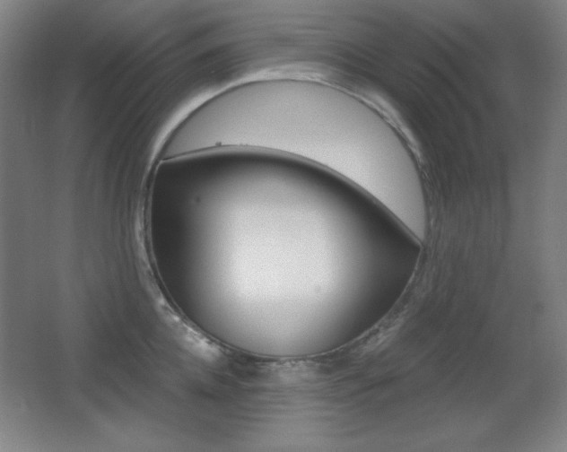 X0000068260952200604210911