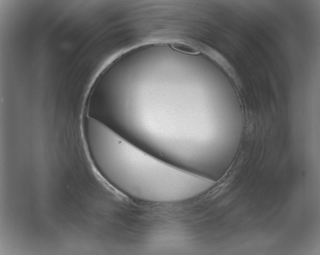 X0000068260958200604210911