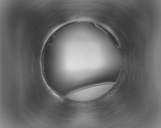 X0000068260959200604210911