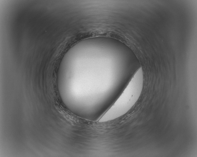 X0000068260961200604210910