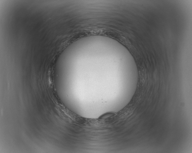 X0000068260962200604210910