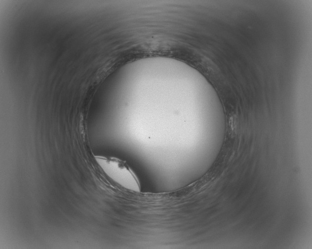 X0000068260963200604210910