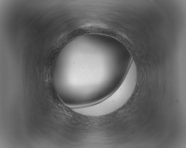 X0000068260965200604210910