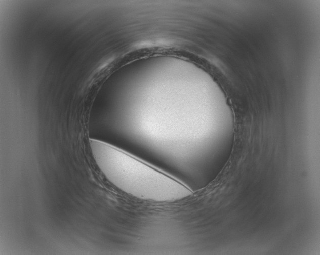 X0000068260967200604210910