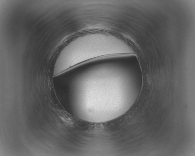 X0000068260968200604210910