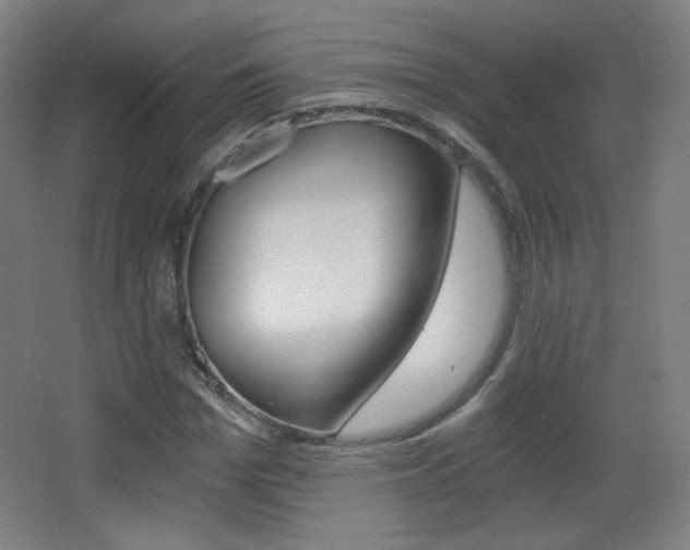 X0000068260969200604210910
