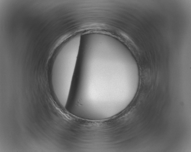 X0000068260970200604210910