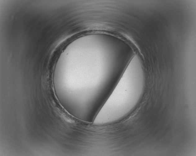 X0000068260971200604210910