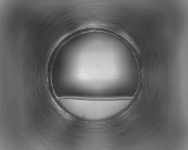 X0000068260972200604210910