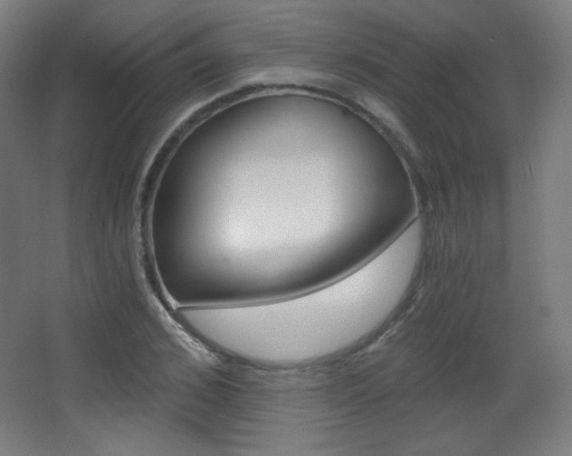 X0000068260976200604210910
