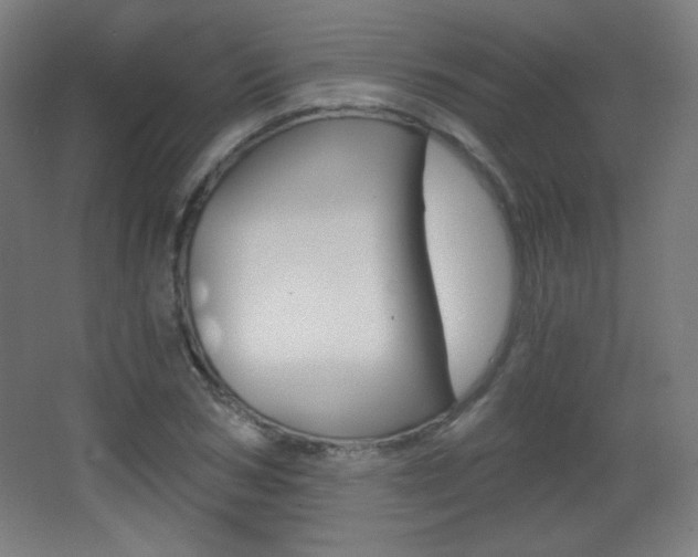 X0000068260978200604210910