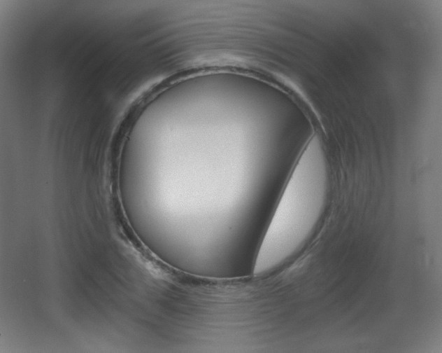 X0000068260979200604210910