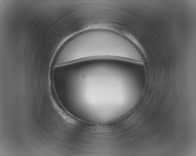X0000068260980200604210910