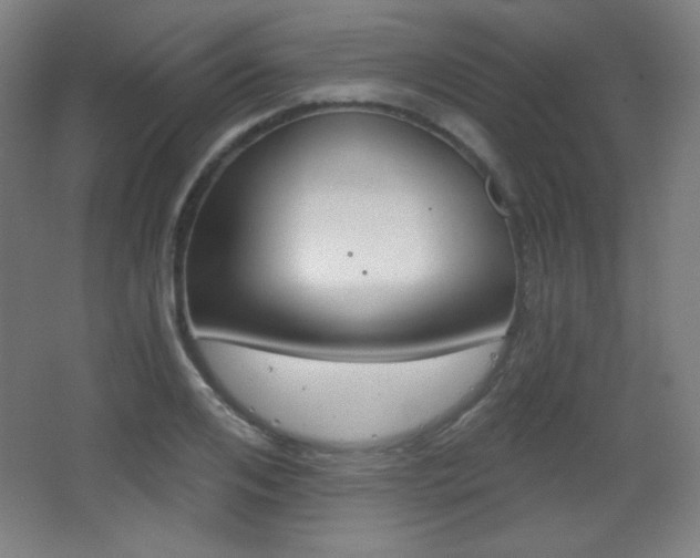 X0000068260984200604210910
