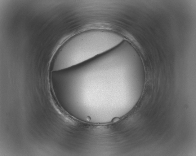 X0000068260986200604210910
