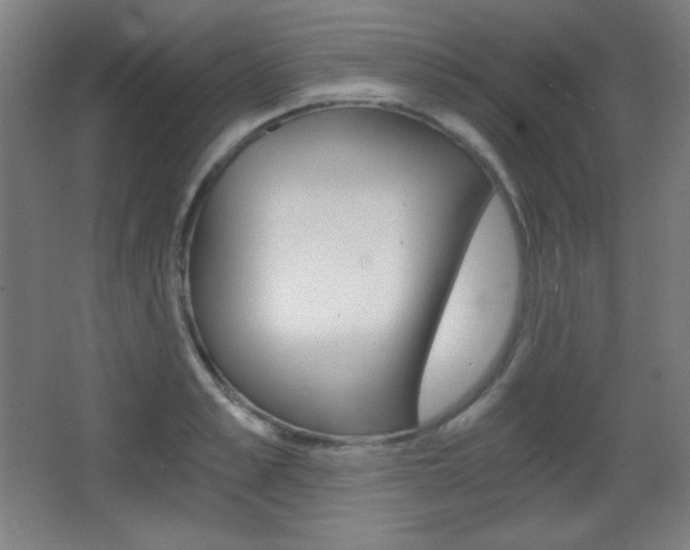 X0000068260989200604210910