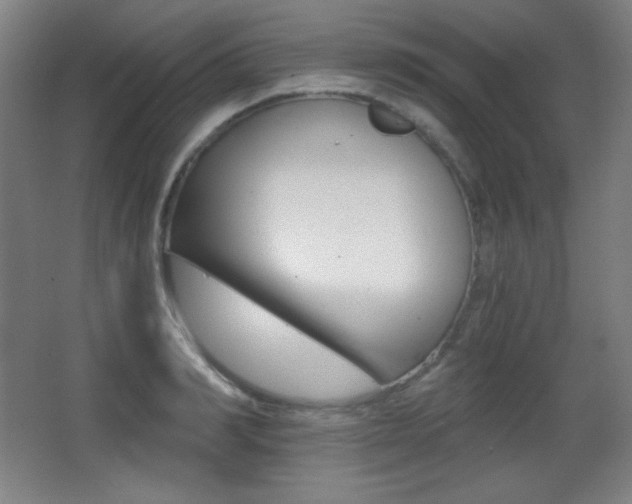 X0000068260990200604210910