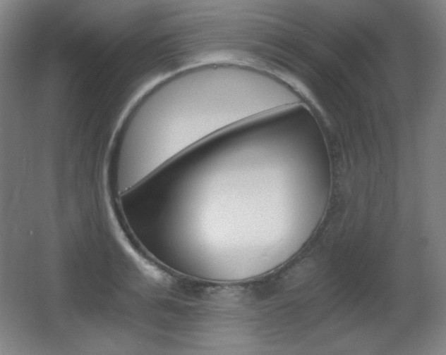 X0000068260991200604210910