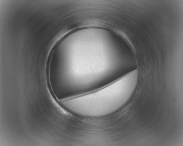 X0000068260995200604210910