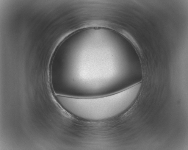 X0000068260996200604210909