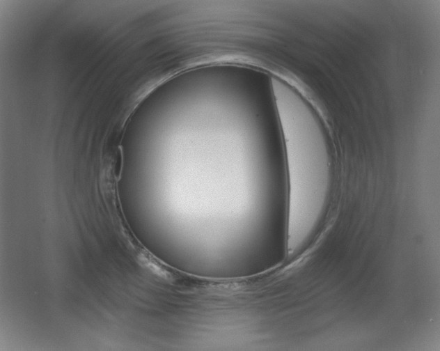 X0000068261001200604210909