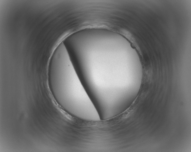 X0000068261002200604210909