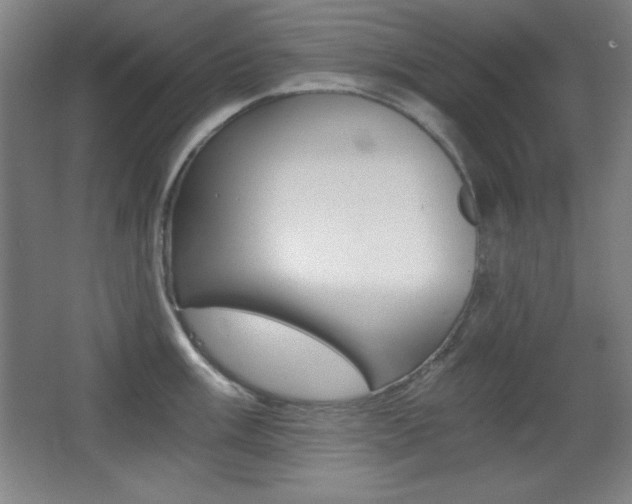X0000068261003200604210909
