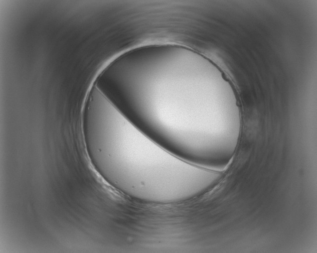 X0000068261004200604210909
