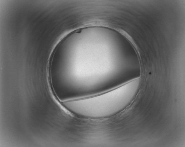 X0000068261005200604210909