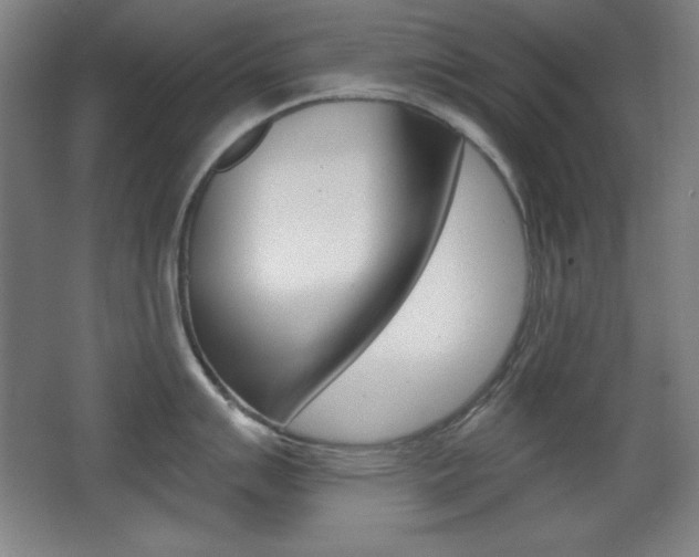X0000068261007200604210909