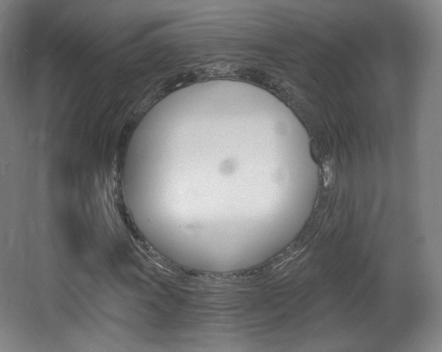 X0000068261011200604210909