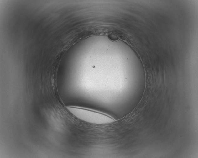 X0000068261013200604210909