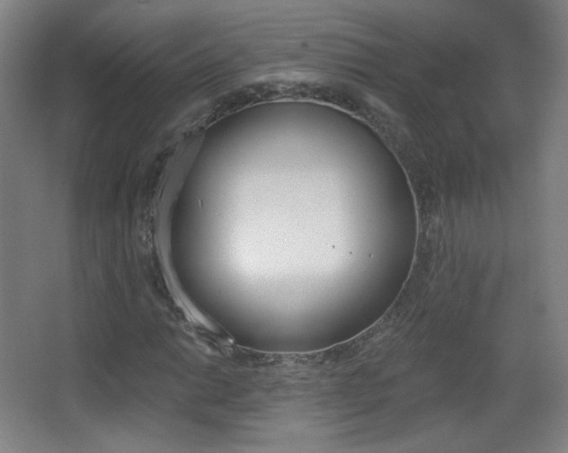 X0000068261014200604210909