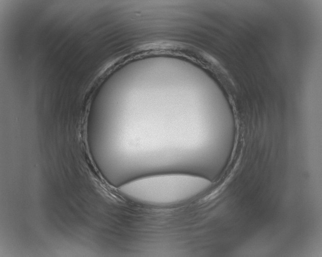 X0000068261017200604210909