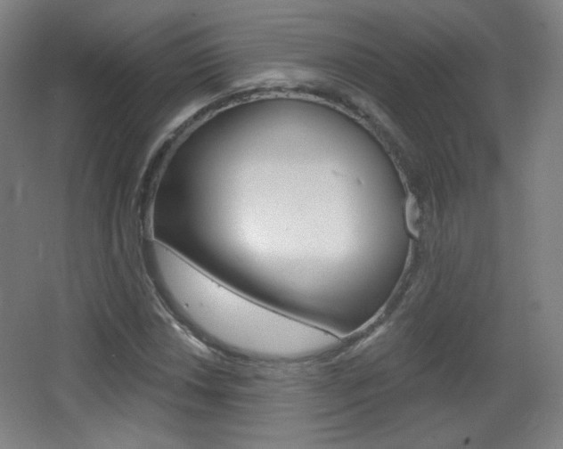 X0000068261018200604210909