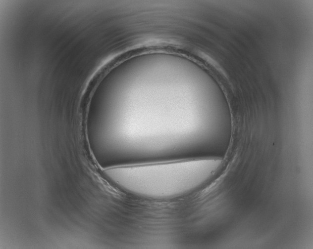 X0000068261021200604210909