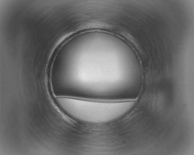 X0000068261024200604210909
