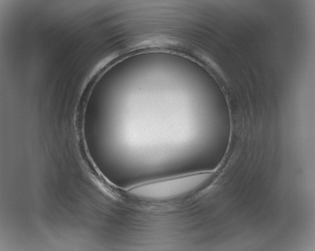 X0000068261026200604210909